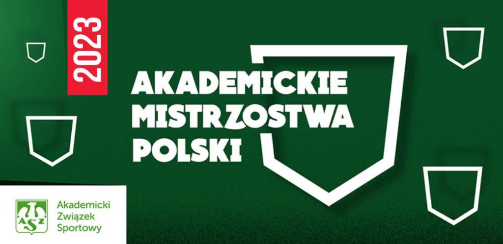 AMP Artykuły